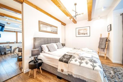 Apartament Kamieniec Ζακοπάνε Εξωτερικό φωτογραφία